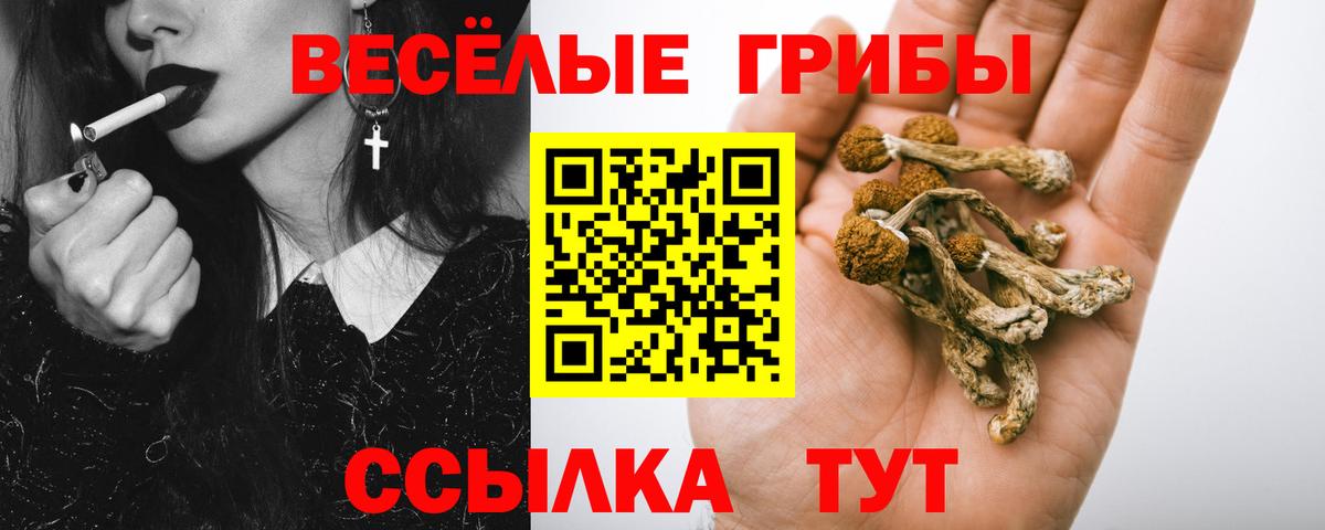 Галлюциногенные грибы прущие грибы Киров