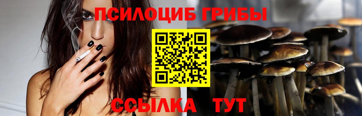 Галлюциногенные грибы Psilocybine cubensis  где продают   Галлюциногенные грибы мицелий  Киров  Вход с VPN 